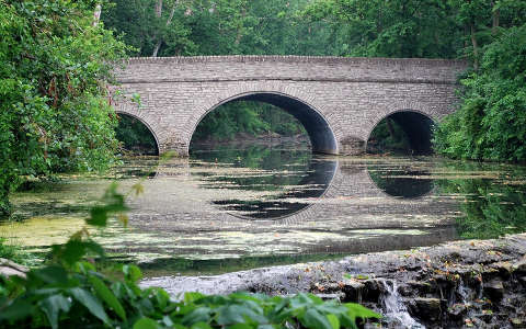 erdő folyó híd tükröződés