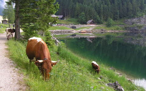 Gosau tó, Ausztria