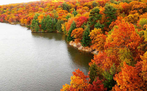 címlapfotó erdő tó ősz