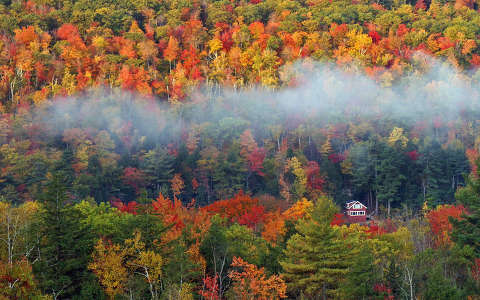 erdő ház köd ősz