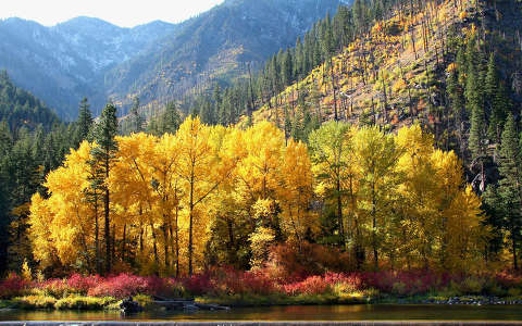 címlapfotó erdő hegy ősz