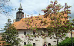 virágzó fa templom