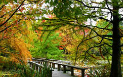 címlapfotó ősz híd kertek és parkok tó