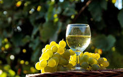 ital ősz bor szőlő gyümölcs