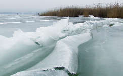 nád tó jég tél