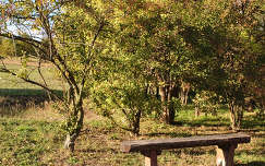Pákozd-Sukorói Arborétum, Magyarország