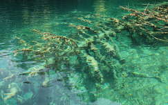 Horvátország - Plitvicei tavak