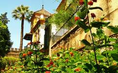 Sevilla-SPAIN, Jardines de Murillo