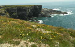 tengerpart tenger kövek és sziklák írország nyár