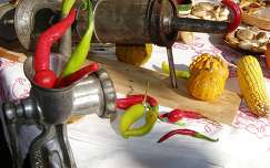 kukorica tök címlapfotó paprika zöldség termény