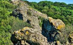A Prédikálószék gerincén elhelyezkedő Vadálló-kövek,Visegrád környéki hegycsoport-Fotó:Szolnoki Tibor