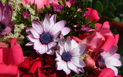 nyári virág címlapfotó virágcsokor és dekoráció