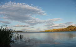 Tisza-tó ősszel