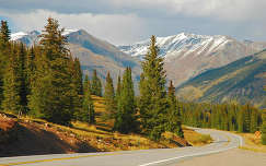 hegy fenyő út címlapfotó örökzöld ősz