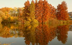 őszi színek