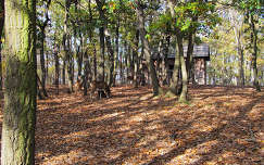 ház faház szarvas és őz ősz erdő