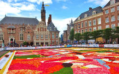 HAARLEM - HOLLAND , FLOWER CARPET AND THE CITY-HALL