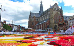 HAARLEM - HOLLAND, FLOWER CARPET AND THE ST.BAVO CHURCH