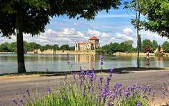 várak és kastélyok tatai vár címlapfotó levendula tata tó magyarország nyár
