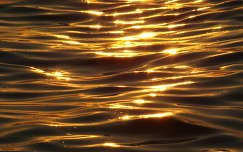 naplemente balaton címlapfotó tó nyár