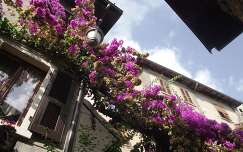 virágok, házak Limone-ban, Garda-tó