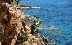kövek és sziklák spanyolország tengerpart kaktusz