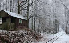 faház címlapfotó sínpár erdő tél