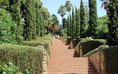 kertek és parkok lépcső fasor