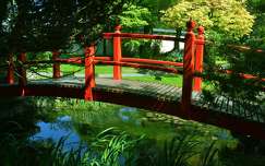 Irish National Stud and Japanese Gardens