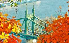 budapest ősz folyó szabadság híd híd magyarország duna