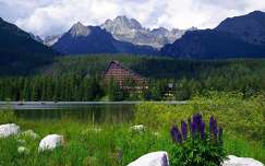 kárpátok csorba-tó tó ház vadvirág szlovákia hegy nyár tátra