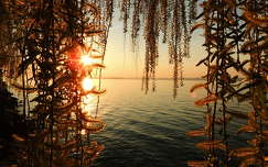 naplemente balaton címlapfotó tavasz tó magyarország