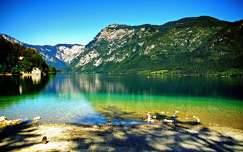 szlovénia hegy bohinji-tó tavasz alpok tó triglav