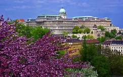 várak és kastélyok címlapfotó budai vár budapest tavasz magyarország