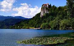 várak és kastélyok szlovénia címlapfotó alpok bledi-tó nyár