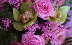 névnap és születésnap orchidea címlapfotó rózsa virágcsokor trópusi virág