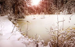 románia fény kárpátok erdély erdő tó tél