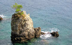 fa kövek és sziklák görögország tenger