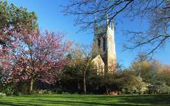 tavasz anglia virágzó fa templom