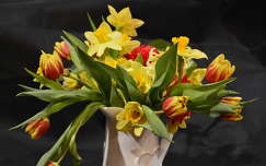 tulipán tavaszi virág virágcsokor és dekoráció nárcisz