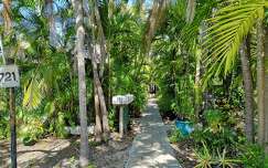 Key West, postaláda, pálma, bejárat, nyár