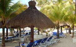 Mexico, nyár, pálma, strand, vízpart, napernyő
