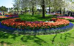 tulipán tavaszi virág hollandia tavasz keukenhof kertek és parkok