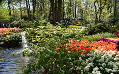 tulipán tavaszi virág nárcisz címlapfotó kertek és parkok