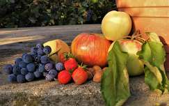 címlapfotó mogyoró ősz eper szőlő alma gyümölcs
