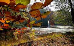 ősz vízesés címlapfotó