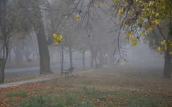 ősz címlapfotó köd pad