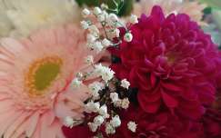 gerbera virágcsokor és dekoráció