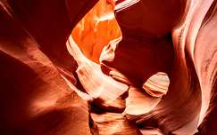 kanyon usa címlapfotó kövek és sziklák antilop