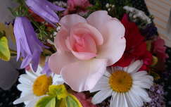 margaréta virágcsokor és dekoráció harangvirág rózsa